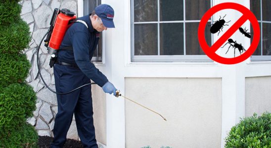 Seydikemer Dezenfeksiyon böcek ilaçlama ve haşere kontrolü — ilaclama-tr.com